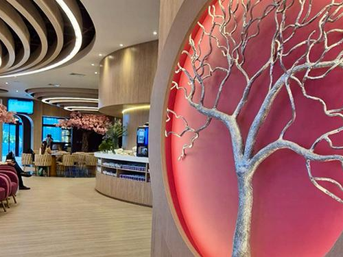 Harmony Lounge (Domestic)