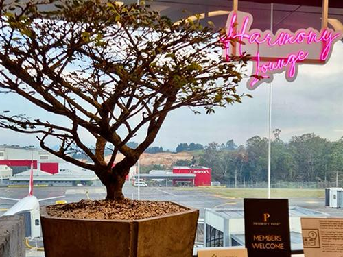 Harmony Lounge (Domestic)