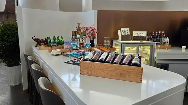 China Southern First/Business Class Lounge