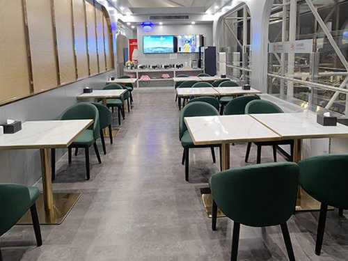 VIP Area V18