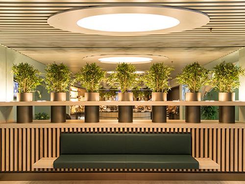 VIP Lounge