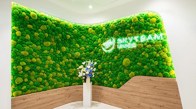 SkyTeam Lounge