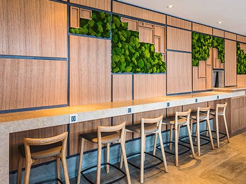 Plaza Premium Lounge (3-6hr stay)