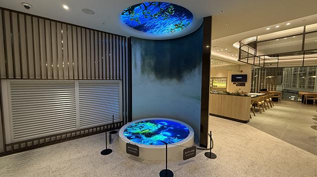 Sky Hub Lounge