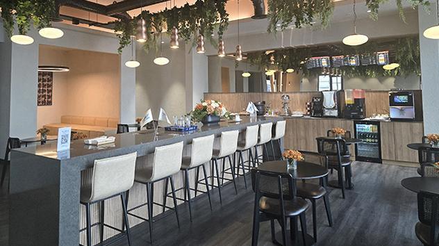 Celebi Platinum Domestic Lounge